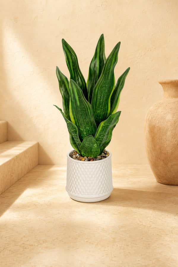 Sansevieria Artificielle