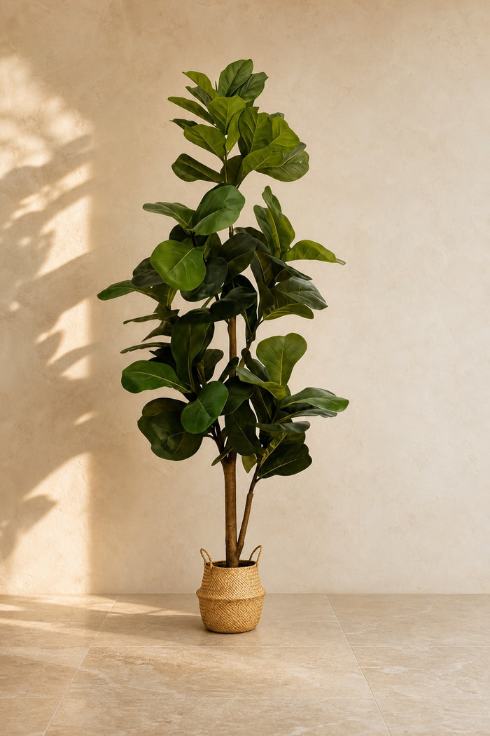 Ficus Lyrata Artificiel