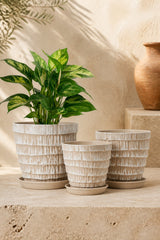 Lot 3 Cache-pots Céramique Déco Plantes – Jardélia