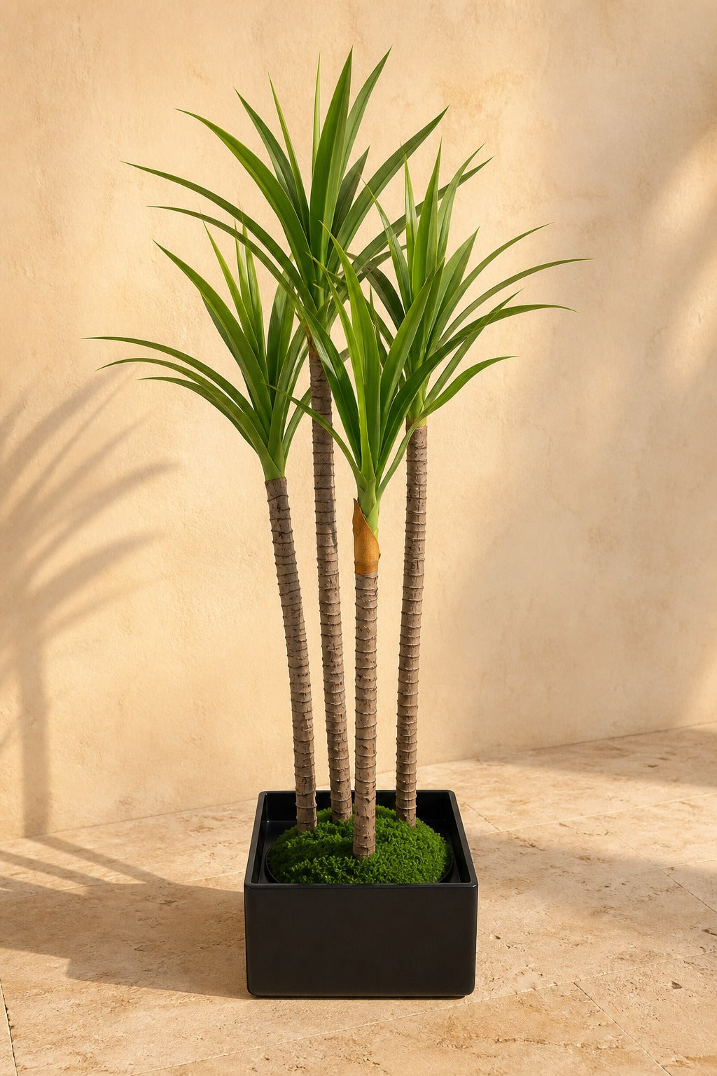 Dracaena Artificiel 152 cm