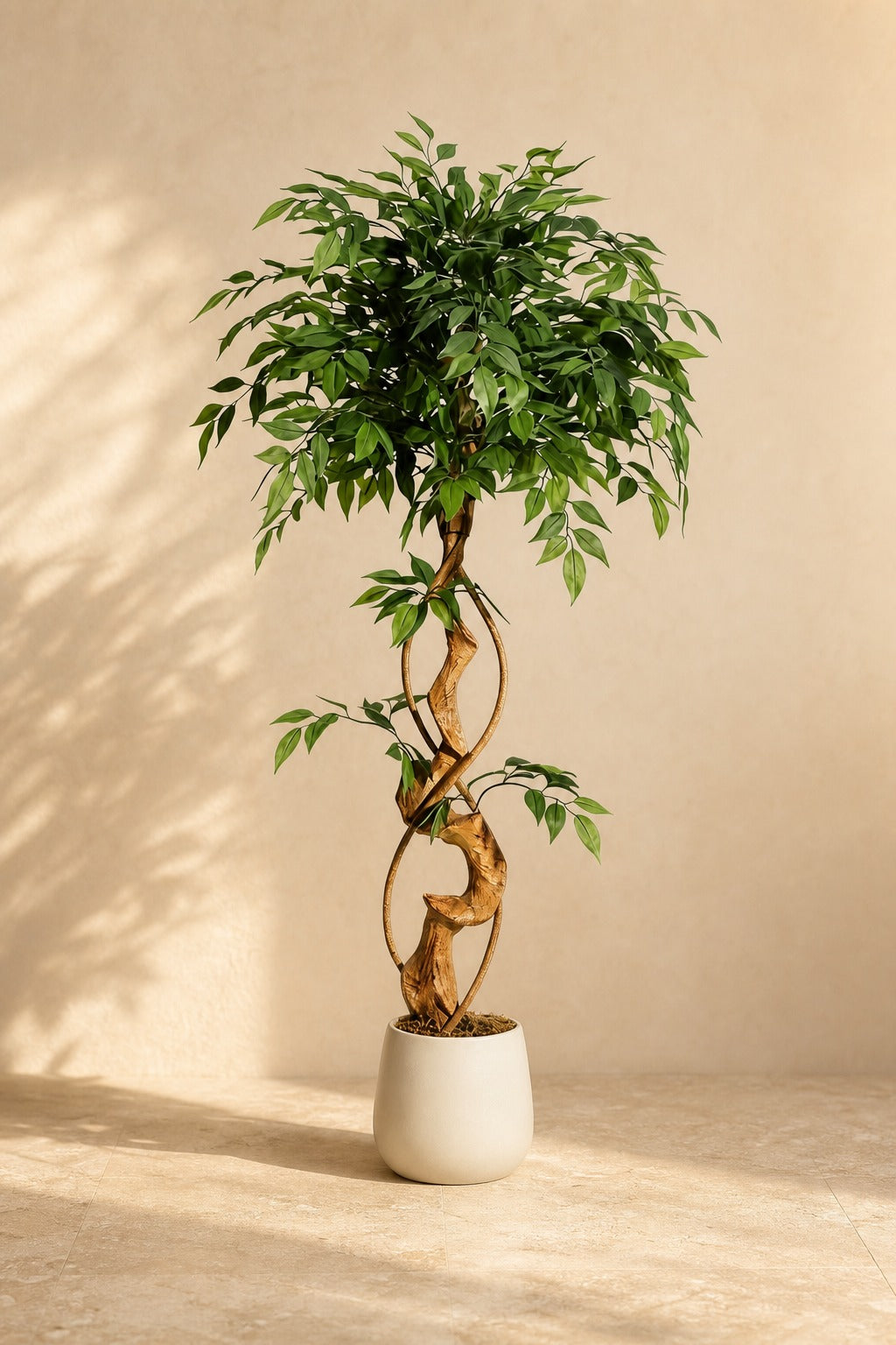 Ficus Artificiel Tronc Torsadé