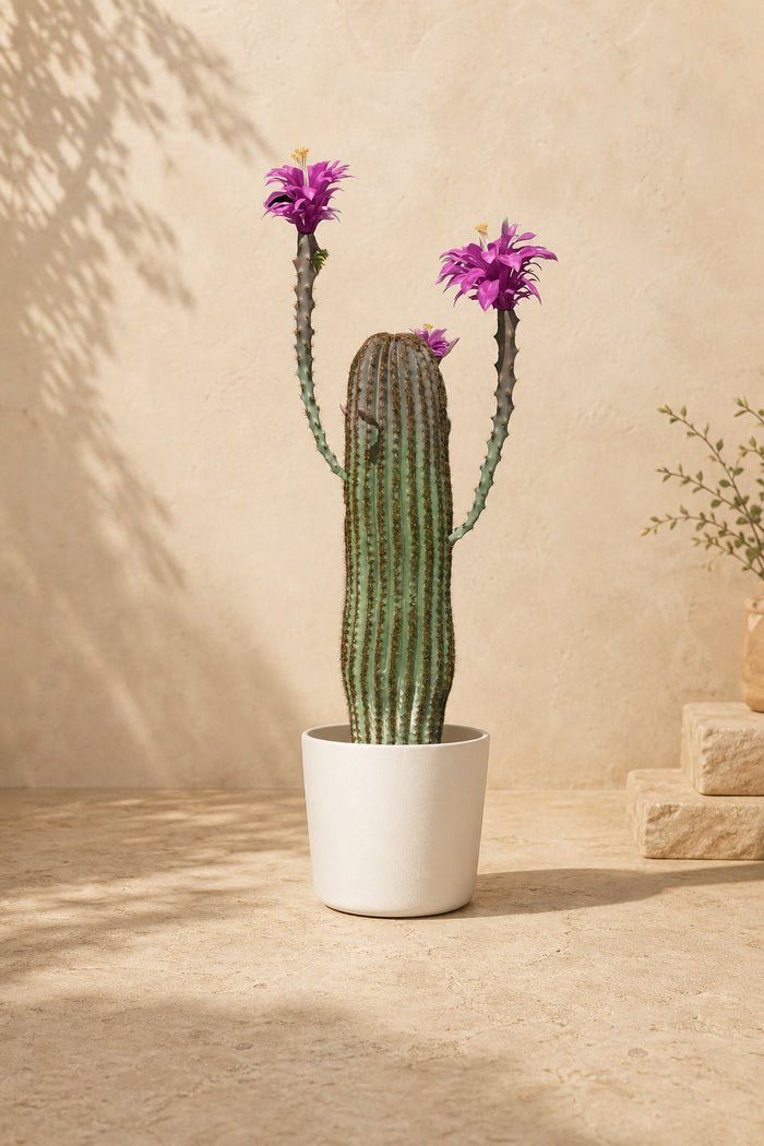 Cactus Artificiel 99 cm
